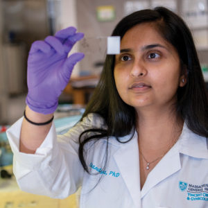 Checkpoints in Endometrial Cancer