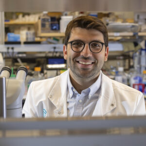 What Is the Role of Ovarian Stromal Cells in Reproductive Aging and Hormonal Health?